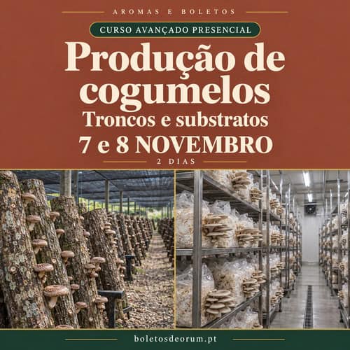 Curso-de-producao-de-cogumelos-em-troncos-e-substratos-aromas-e-boletos